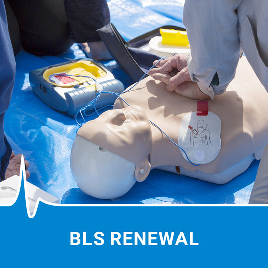 BLS Renewal | Saskatoon - November 12, 2024